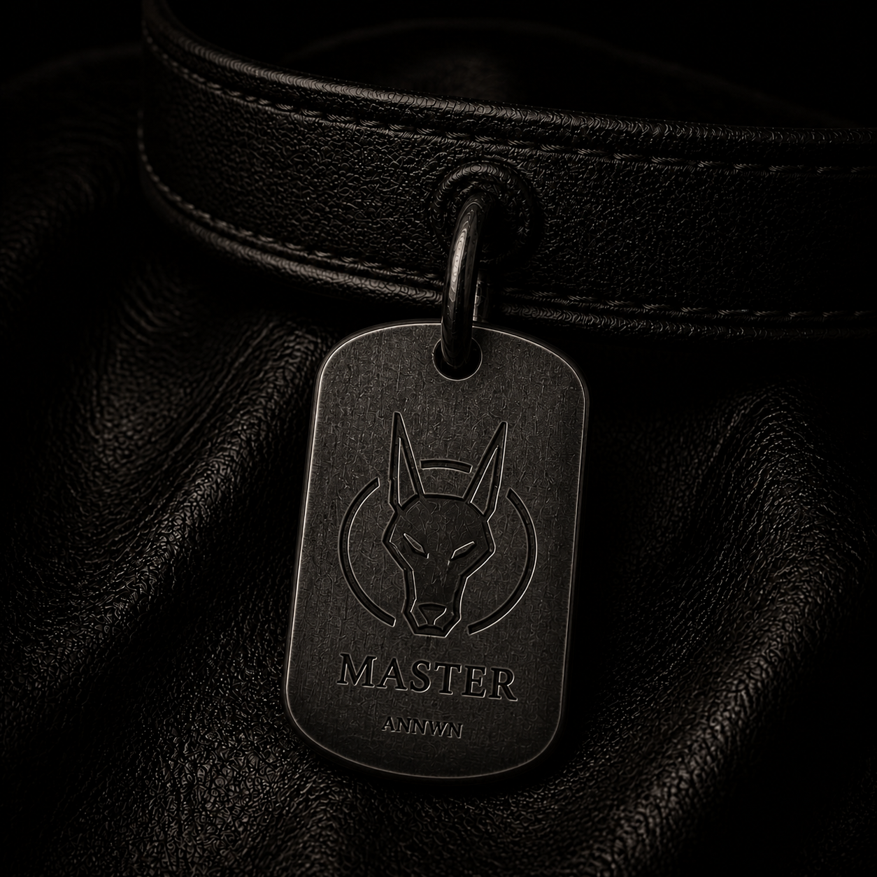 Dogtag Master Puppy LLWYBR gravé